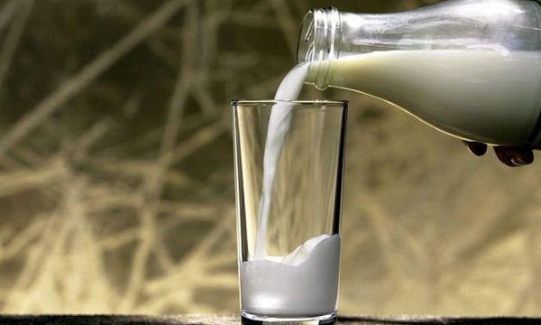 Эталоном качества является вологодская молочная продукция