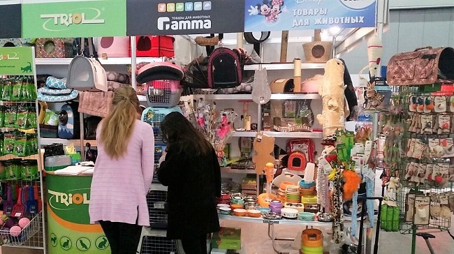 Зообизнес: выставочная деятельность «АММА»