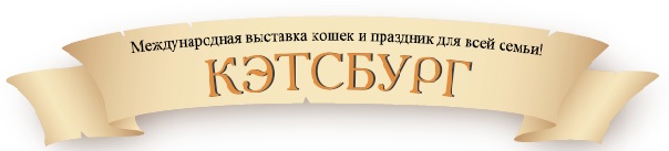 Международная выставка кошек 1 и 2 марта 2014 г.