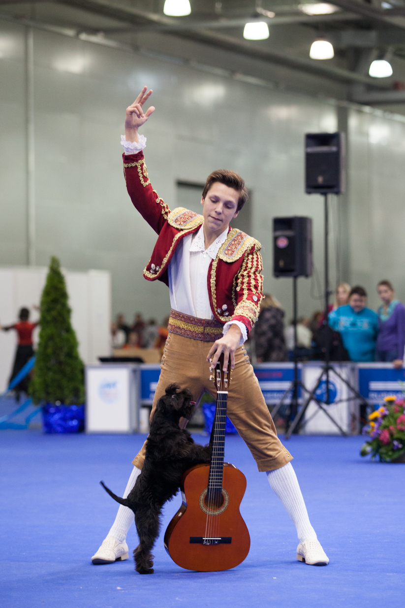 8 – 9 ноября 2014 года в Москве состоится выставка собак