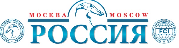Интернациональная выставка собак всех пород «Россия – 2013»
